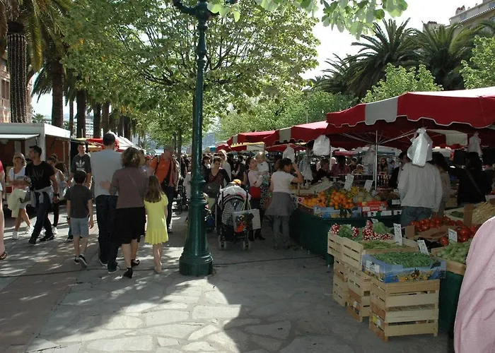 Apartment Cosy Centre Ajaccio (Corsica)