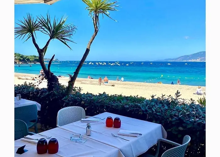 Cosy Centre Apartment